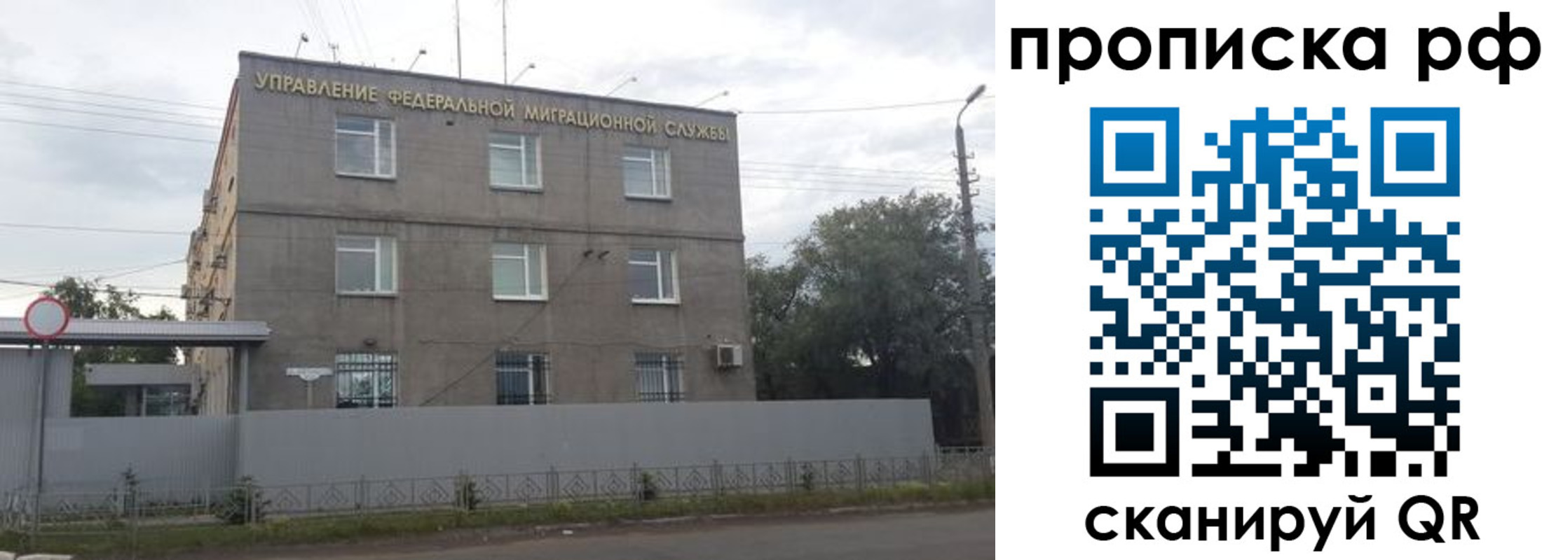 прописка регистрация в Сафоново